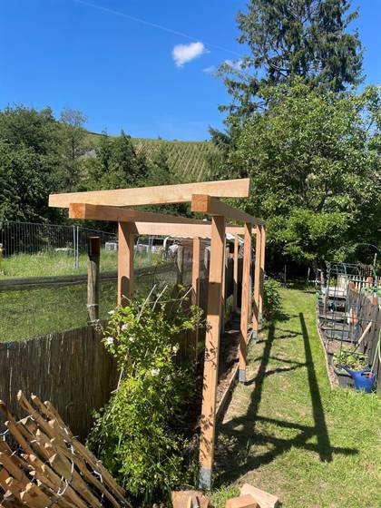 Tomatendach, Ansicht entlang des Gemüsebeets